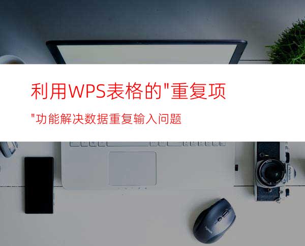 利用WPS表格的