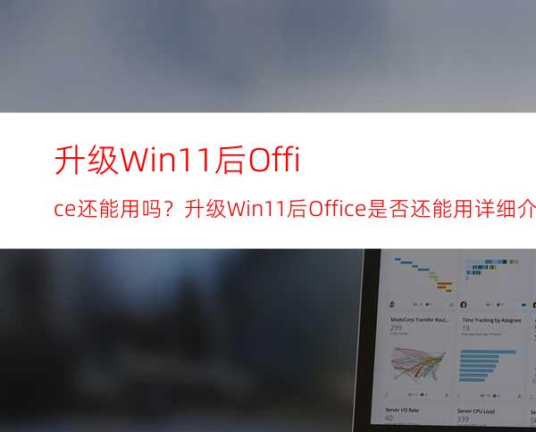 升级Win11后Office还能用吗？升级Win11后Office是否还能用详细介绍