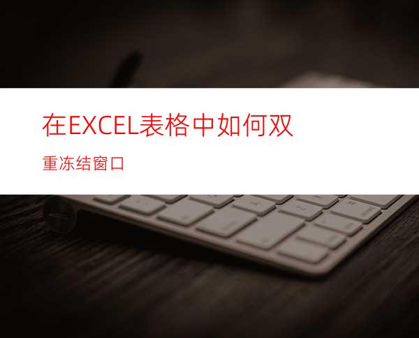 在EXCEL表格中如何双重冻结窗口