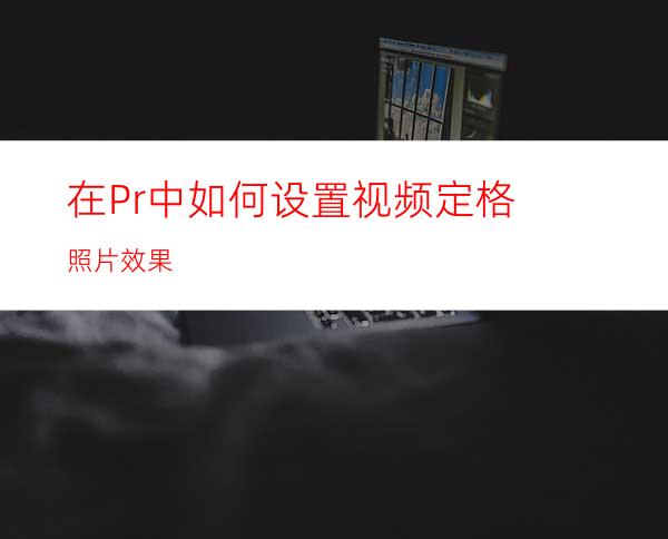 在Pr中如何设置视频定格照片效果