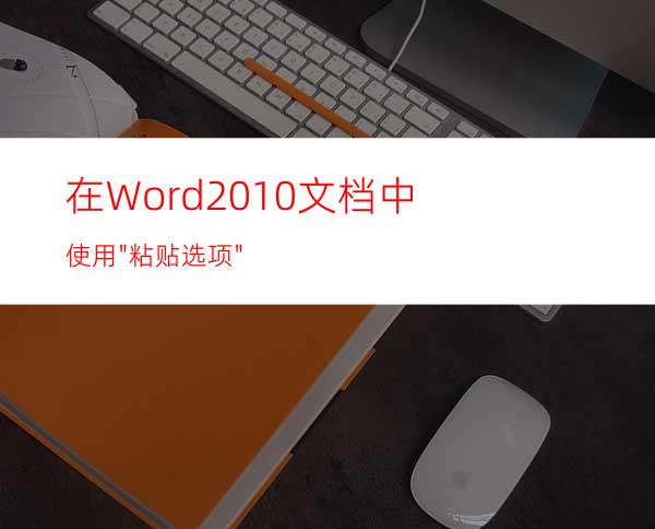 在Word2010文档中使用