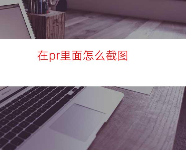 在pr里面怎么截图