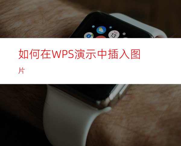 如何在WPS演示中插入图片