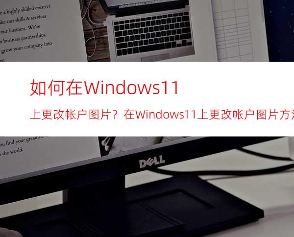 如何在Windows11上更改帐户图片？在Windows11上更改帐户图片方法介绍