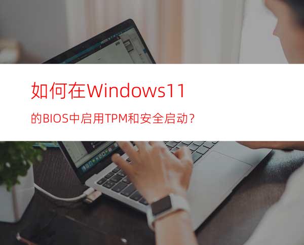 如何在Windows11的BIOS中启用TPM和安全启动？