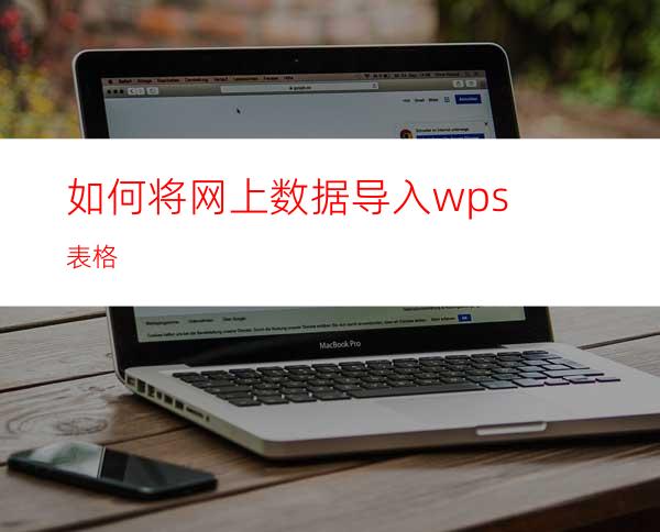 如何将网上数据导入wps表格