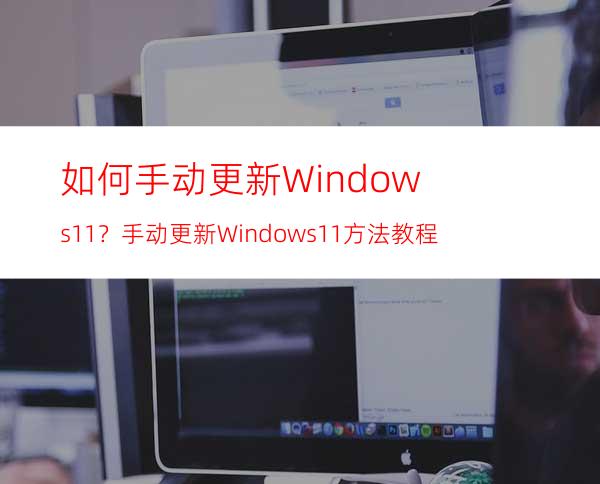 如何手动更新Windows11？手动更新Windows11方法教程