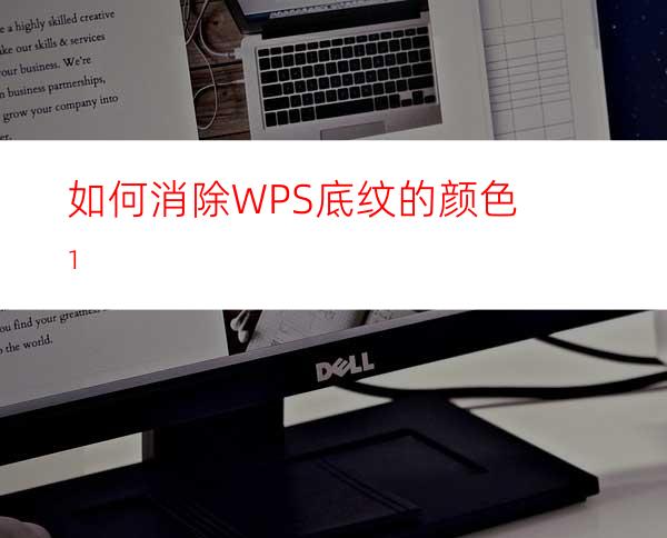 如何消除WPS底纹的颜色1