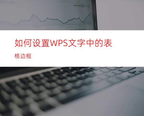 如何设置WPS文字中的表格边框