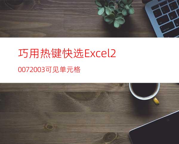 巧用热键快选Excel2007/2003可见单元格