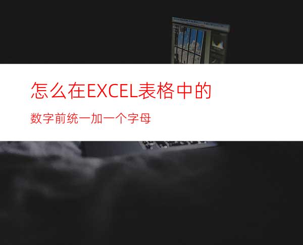 怎么在EXCEL表格中的数字前统一加一个字母?