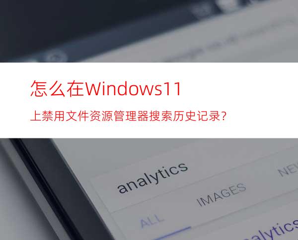 怎么在Windows11上禁用文件资源管理器搜索历史记录？