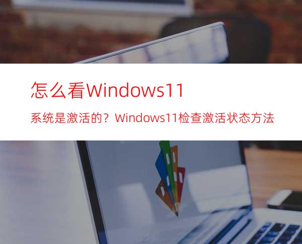 怎么看Windows11系统是激活的？Windows11检查激活状态方法