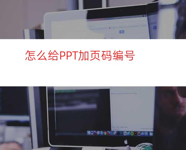 怎么给PPT加页码编号