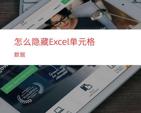 怎么隐藏Excel单元格数据