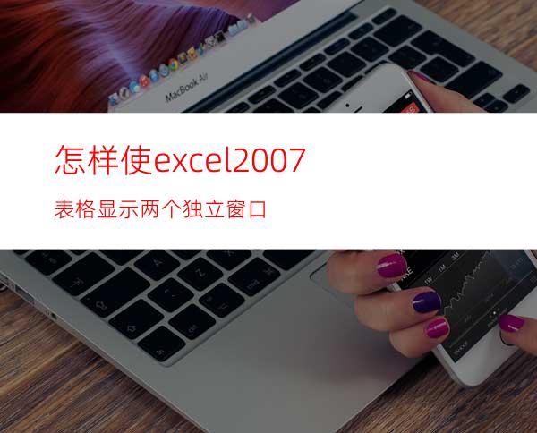 怎样使excel2007表格显示两个独立窗口?