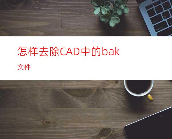 怎样去除CAD中的bak文件