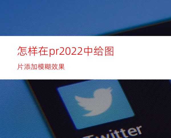 怎样在pr2022中给图片添加模糊效果