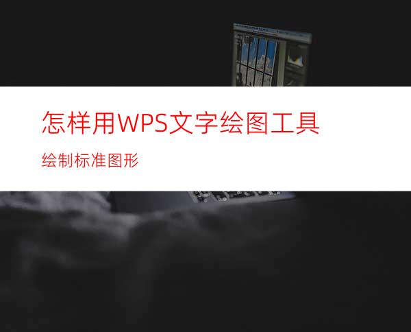 怎样用WPS文字绘图工具绘制标准图形