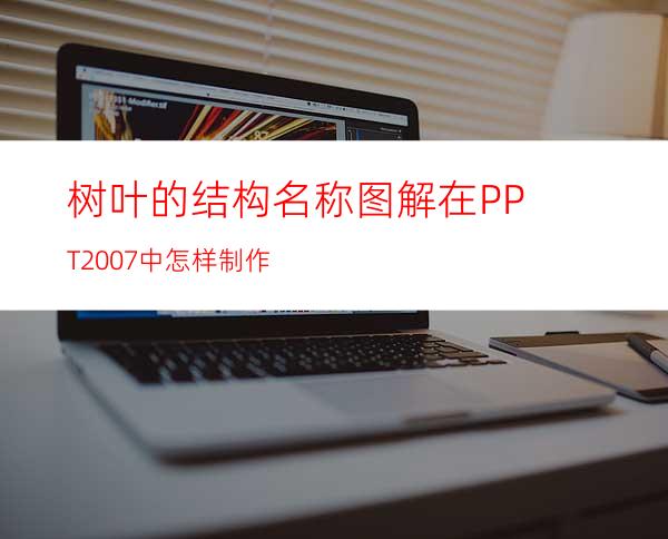 树叶的结构名称图解在PPT2007中怎样制作