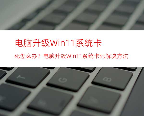 电脑升级Win11系统卡死怎么办？电脑升级Win11系统卡死解决方法