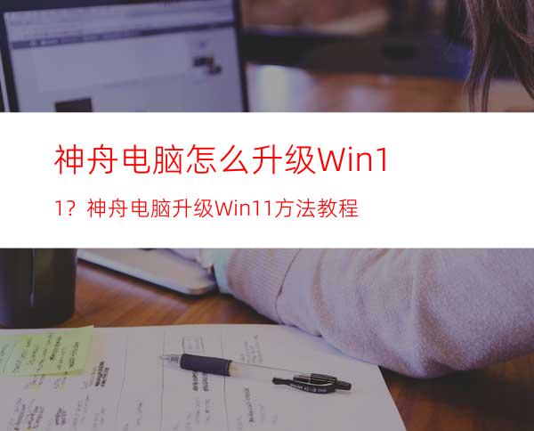 神舟电脑怎么升级Win11？神舟电脑升级Win11方法教程