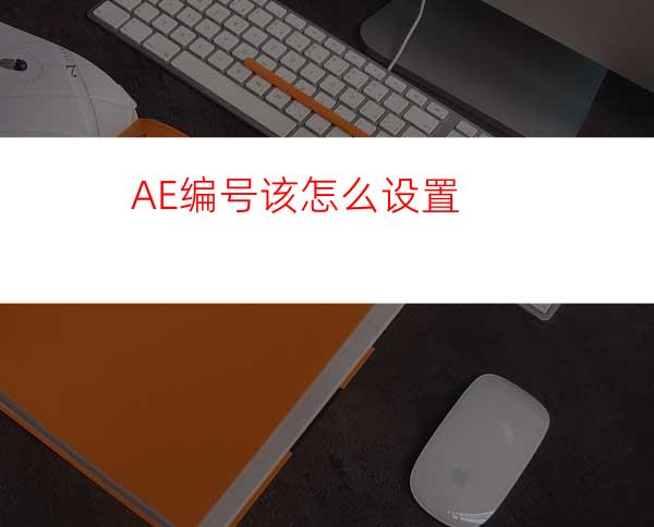 AE编号该怎么设置