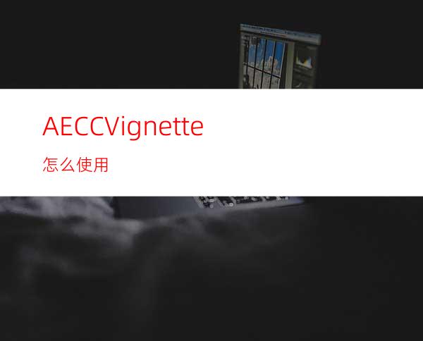 AECCVignette怎么使用