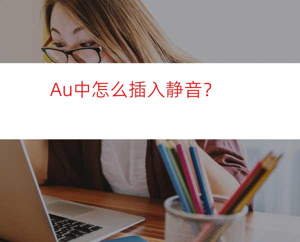 Au中怎么插入静音？