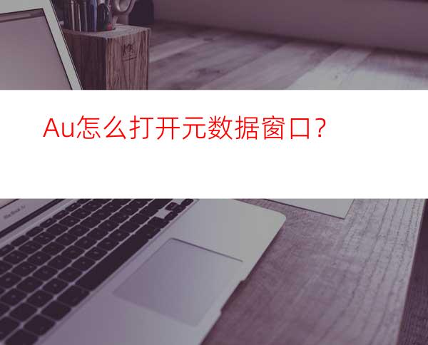 Au怎么打开元数据窗口？