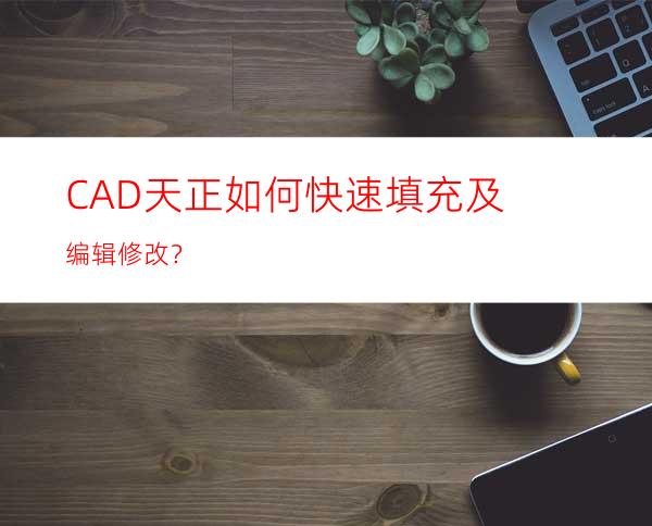 CAD/天正如何快速填充及编辑修改？