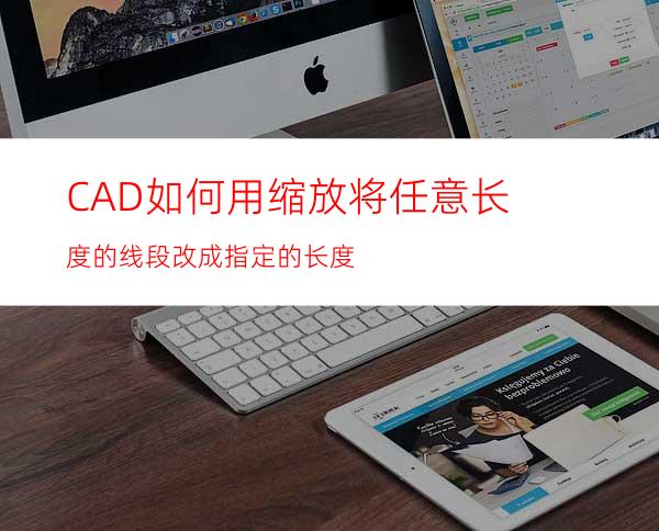 CAD如何用缩放将任意长度的线段改成指定的长度