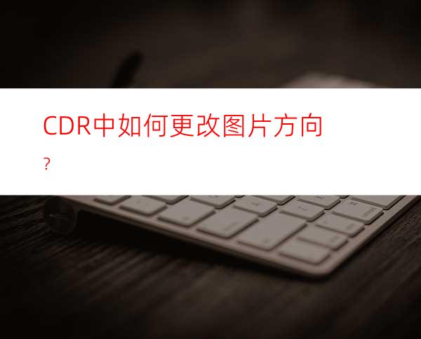 CDR中如何更改图片方向？