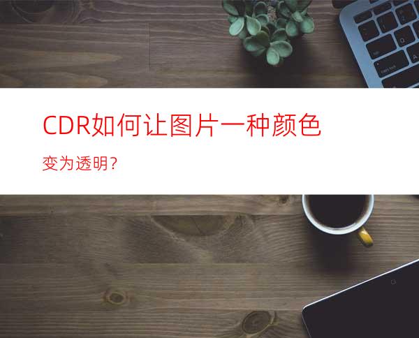 CDR如何让图片一种颜色变为透明？