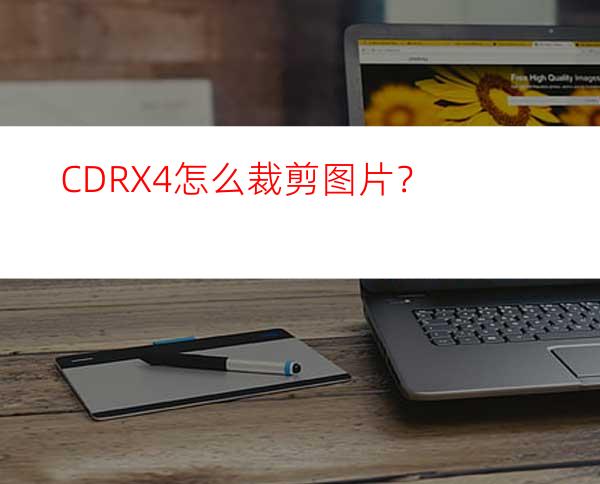 CDRX4怎么裁剪图片？