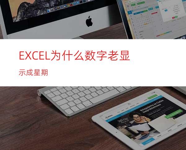 EXCEL为什么数字老显示成星期