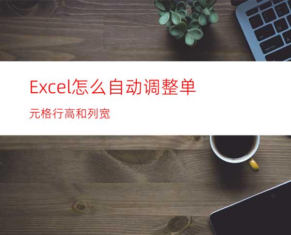 Excel怎么自动调整单元格行高和列宽