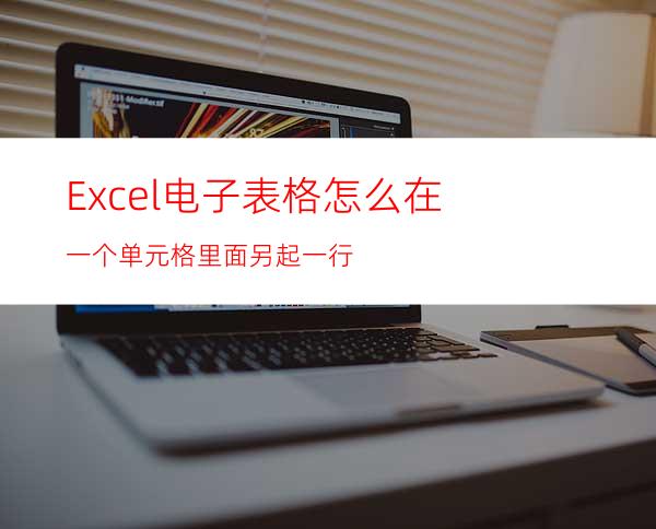 Excel电子表格怎么在一个单元格里面另起一行?