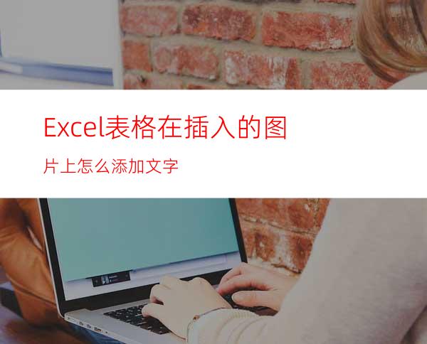 Excel表格在插入的图片上怎么添加文字