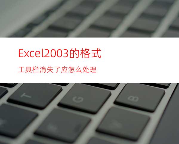 Excel2003的格式工具栏消失了应怎么处理