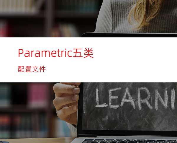 Parametric五类配置文件