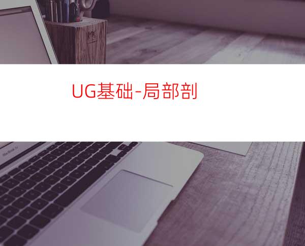 UG基础-局部剖