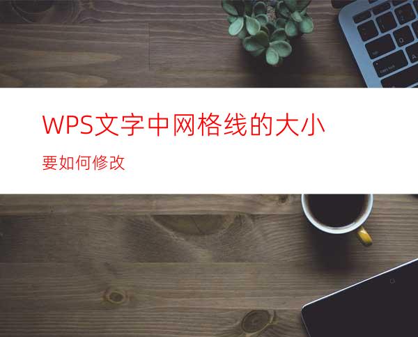 WPS文字中网格线的大小要如何修改