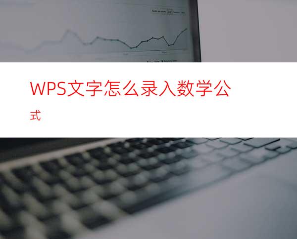 WPS文字怎么录入数学公式?