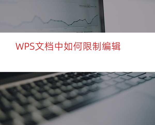 WPS文档中如何限制编辑