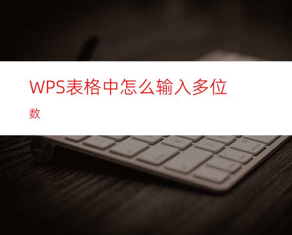 WPS表格中怎么输入多位数