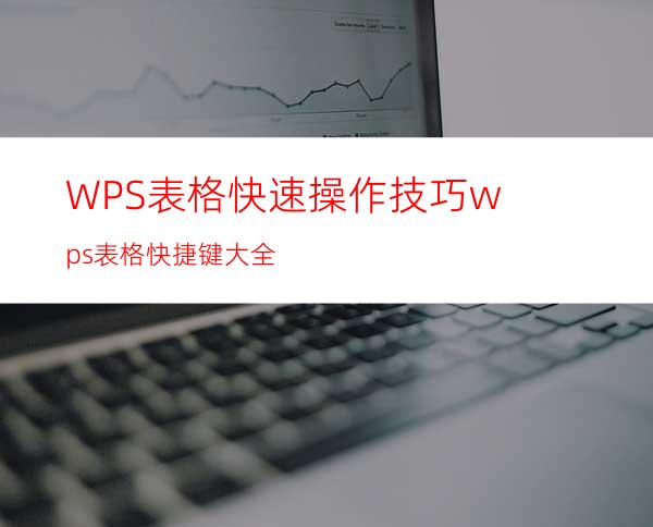 WPS表格快速操作技巧wps表格快捷键大全