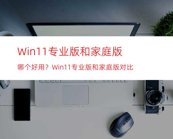 Win11专业版和家庭版哪个好用？Win11专业版和家庭版对比