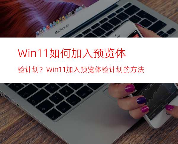 Win11如何加入预览体验计划？Win11加入预览体验计划的方法