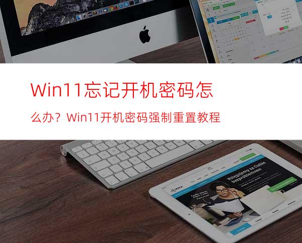 Win11忘记开机密码怎么办？Win11开机密码强制重置教程